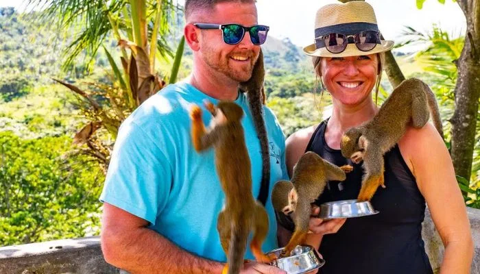 Monkey Land